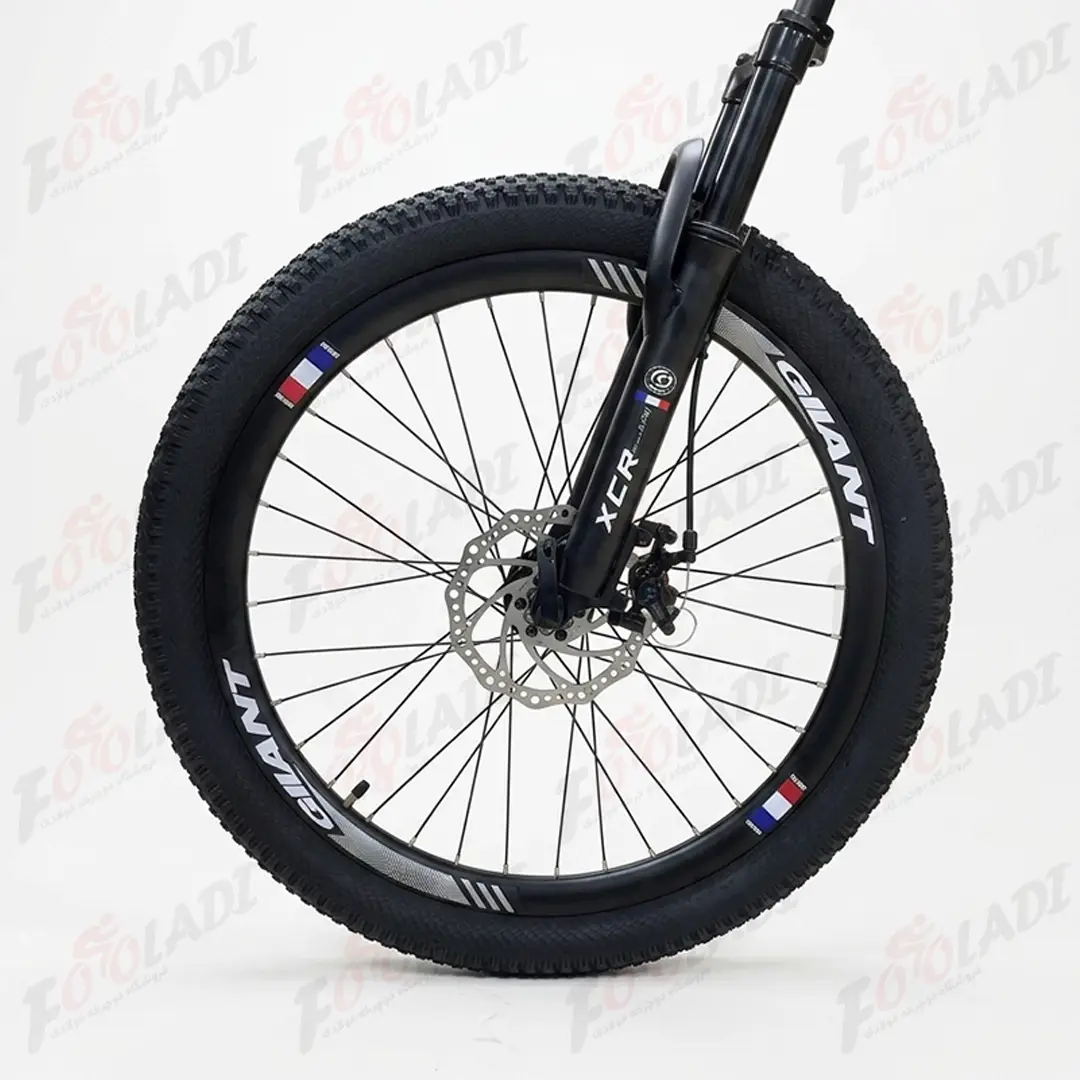 GIIZNT size 24