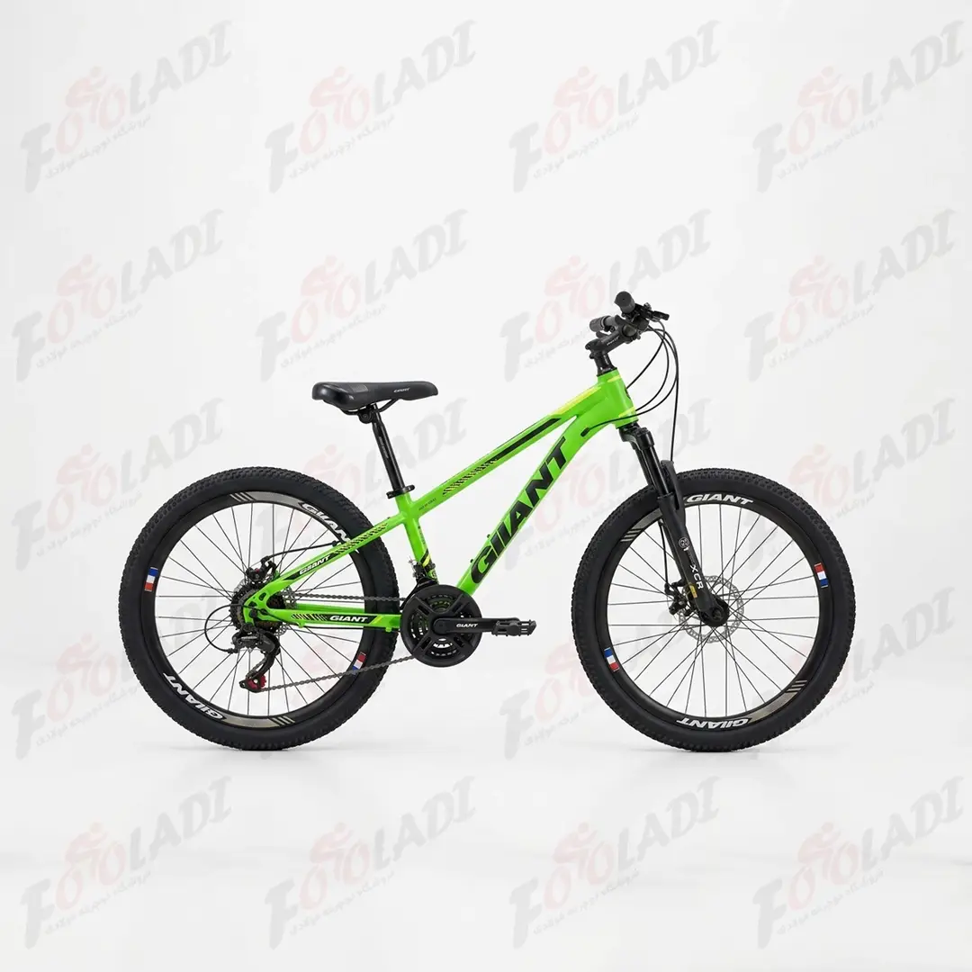 دوچرخه 24 GIIANT G120