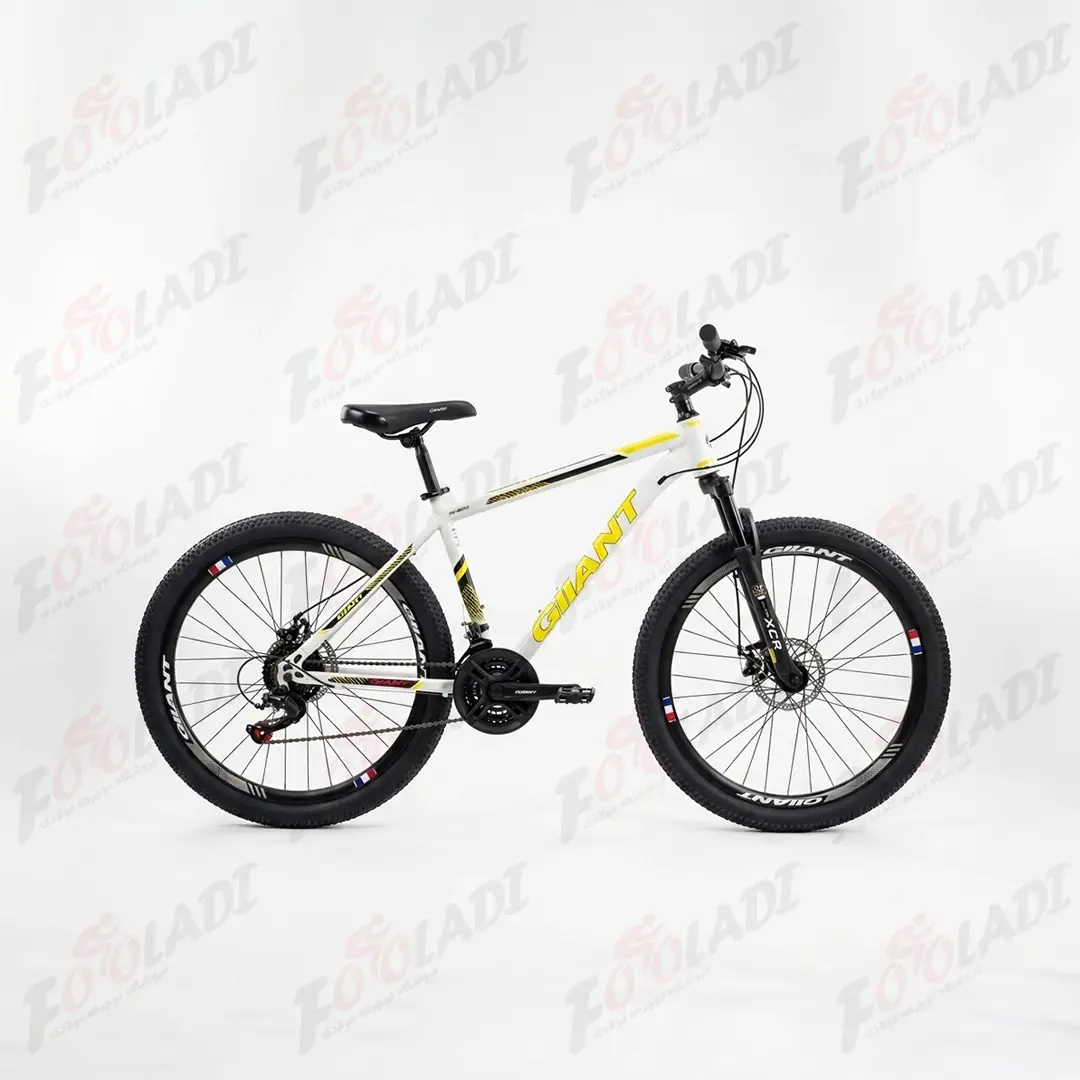دوچرخه 29 جیانت G120
