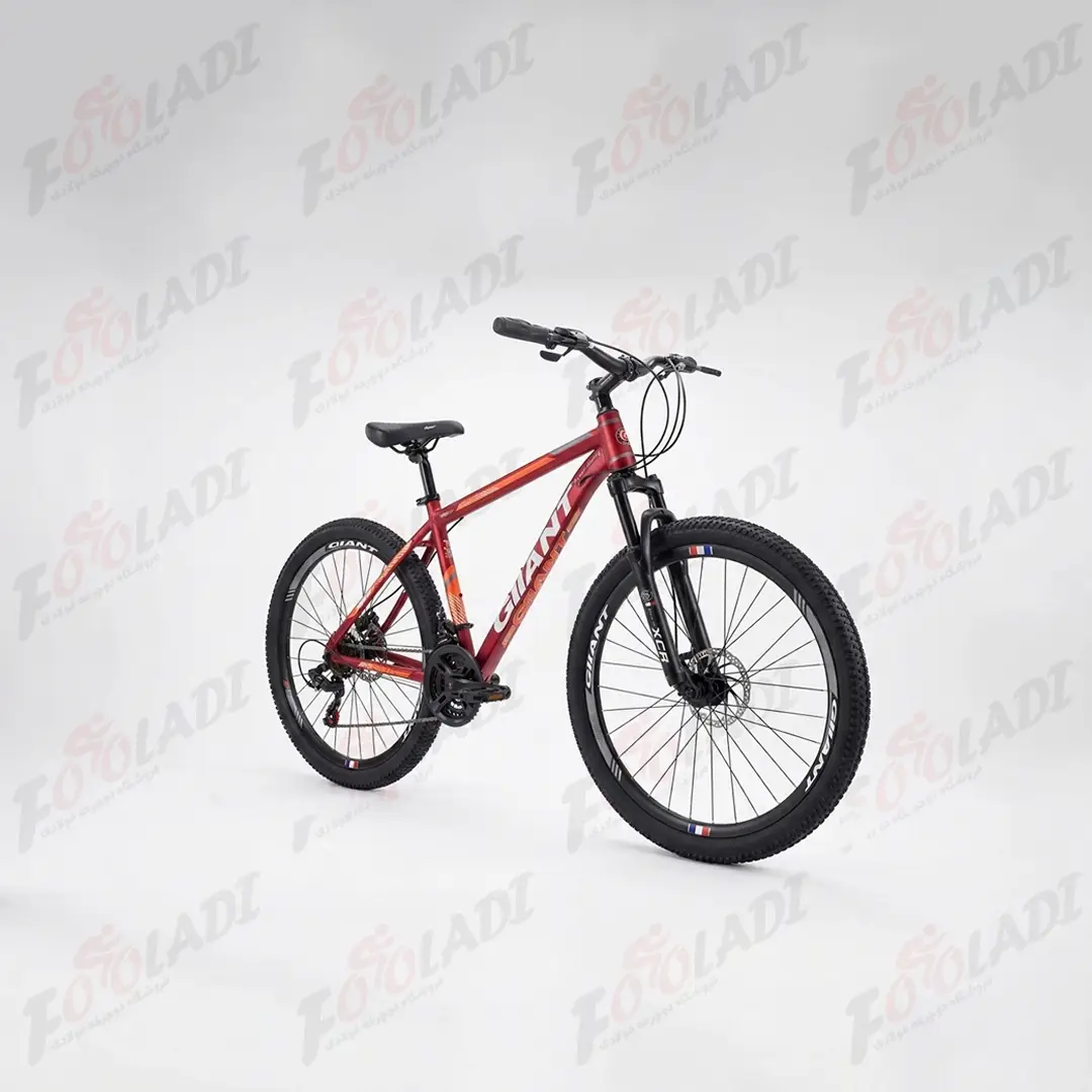 4 دوچرخه 29 جیانت GIIANT G120