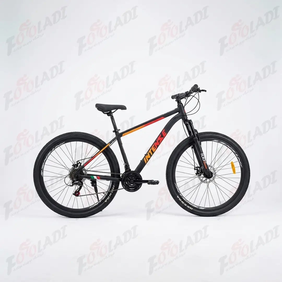 دوچرخه 29 اینتنس CD 200