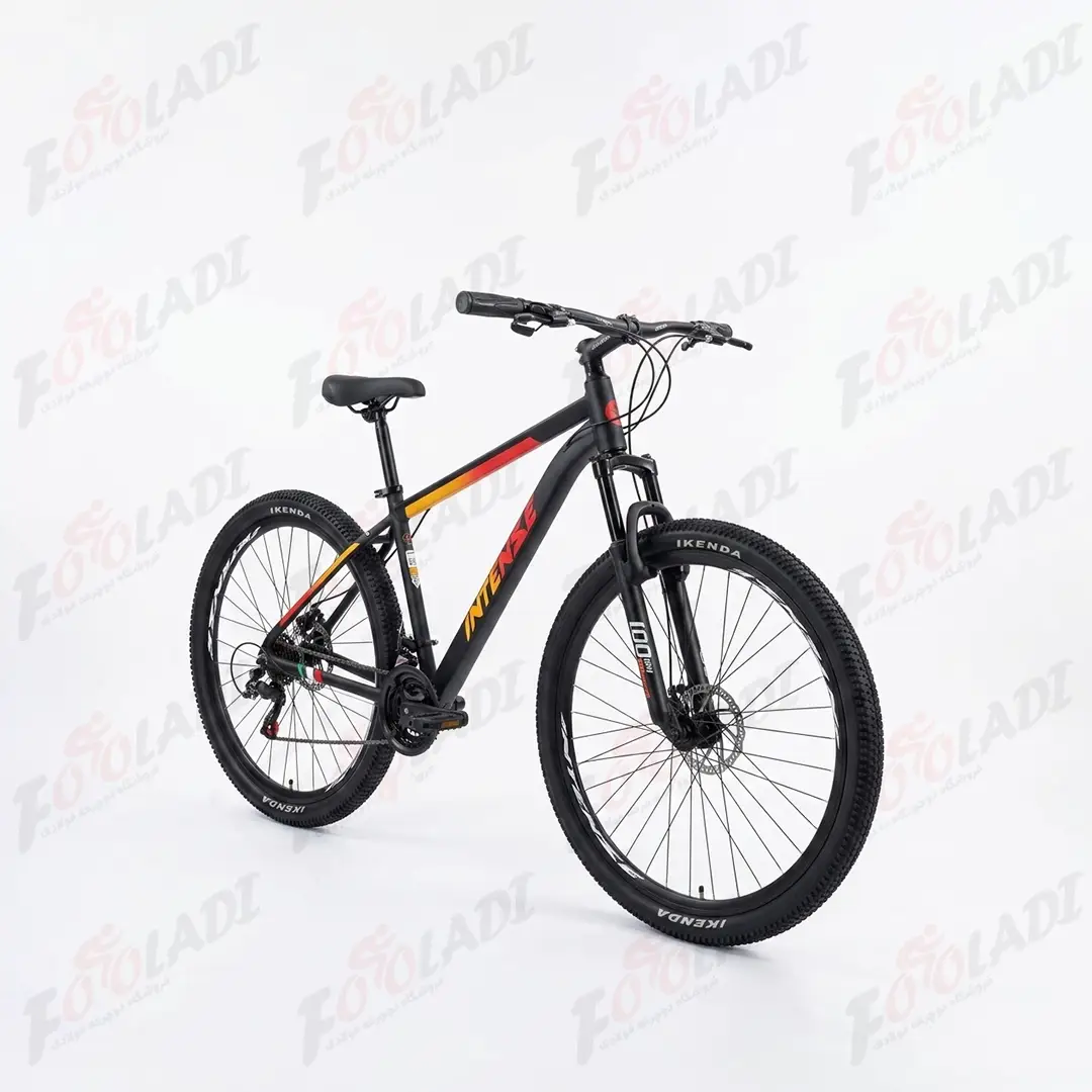 2 دوچرخه 29 اینتنس INTENSE CD 200