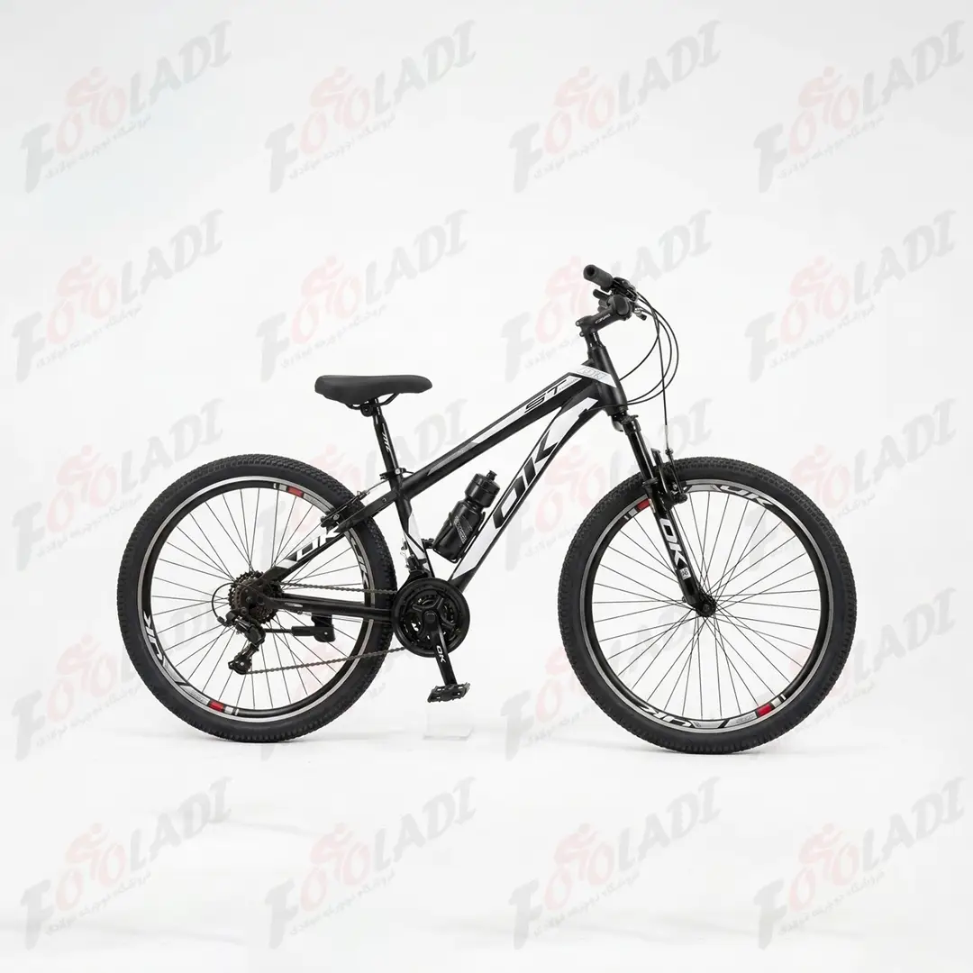 1 دوچرخه 29 اوکی OK K2901