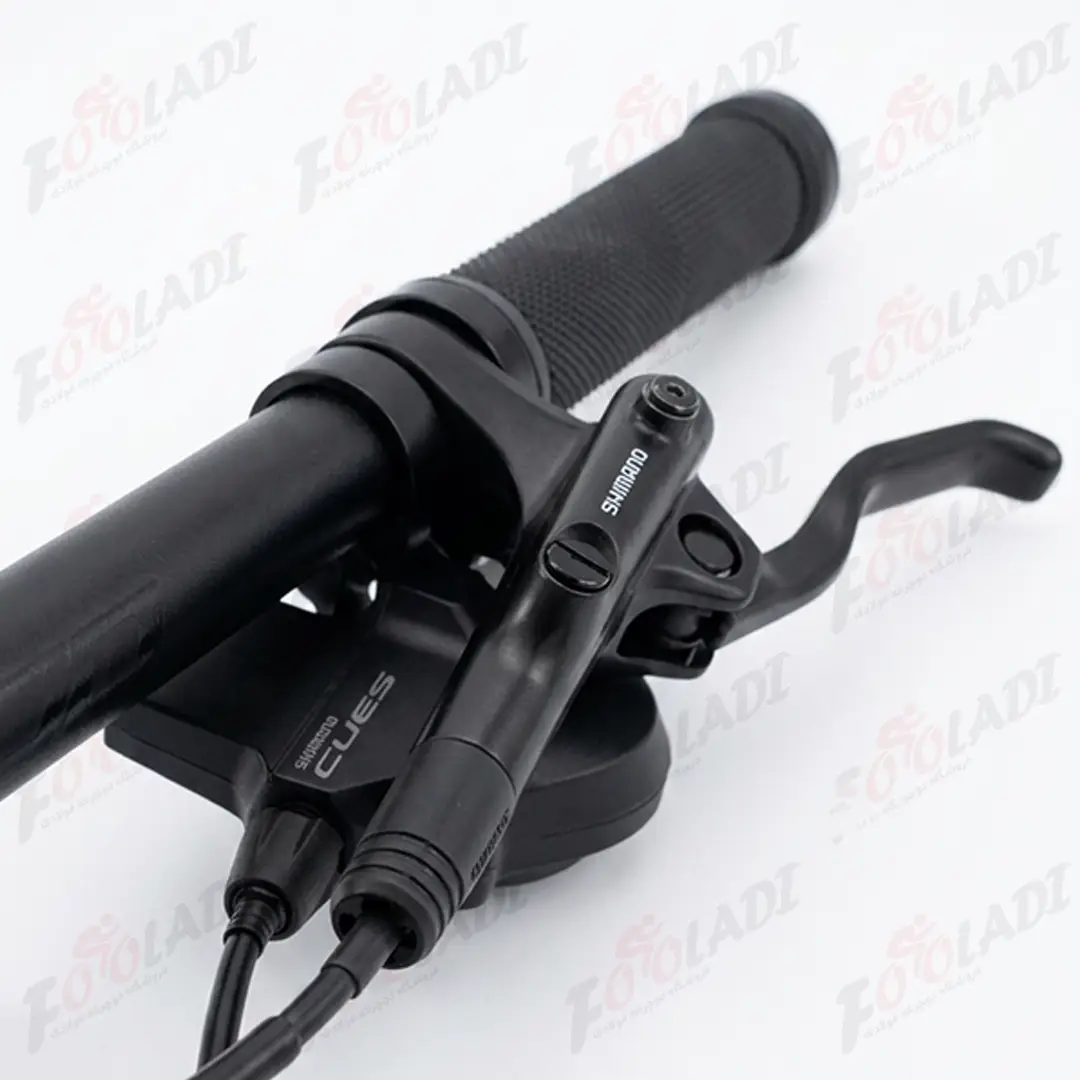 6 دوچرخه 29 راپیدو الیت RAPIDO ELITE