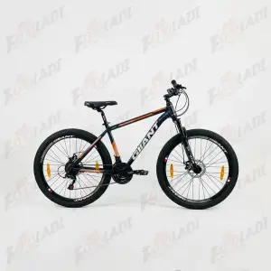 2 دوچرخه 29 جیانت GIIANT G120