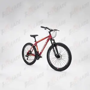 4 دوچرخه 29 جیانت GIIANT G120