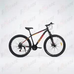 دوچرخه 29 اینتنس CD 200