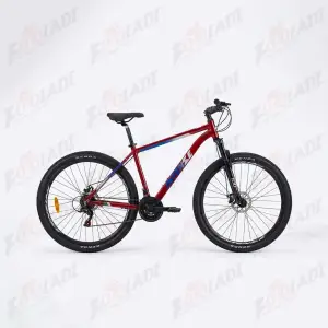 1 دوچرخه 29 اینتنس INTENSE CD 200