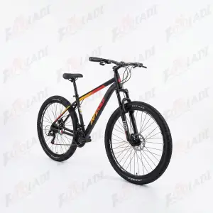 2 دوچرخه 29 اینتنس INTENSE CD 200