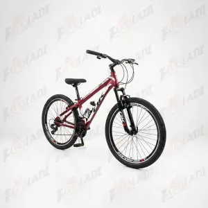 3 دوچرخه 29 اوکی OK K2901